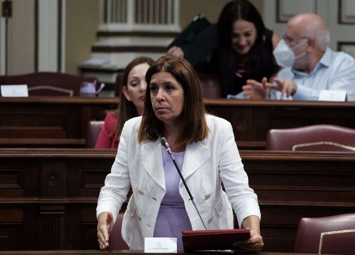 Carmen Hernández, en una imagen de archivo, en el Parlamento canario/TA.